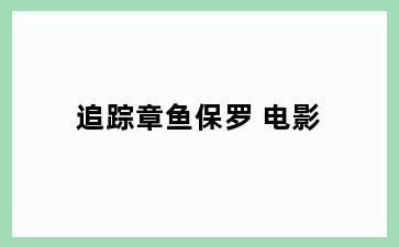 追踪章鱼保罗 电影
